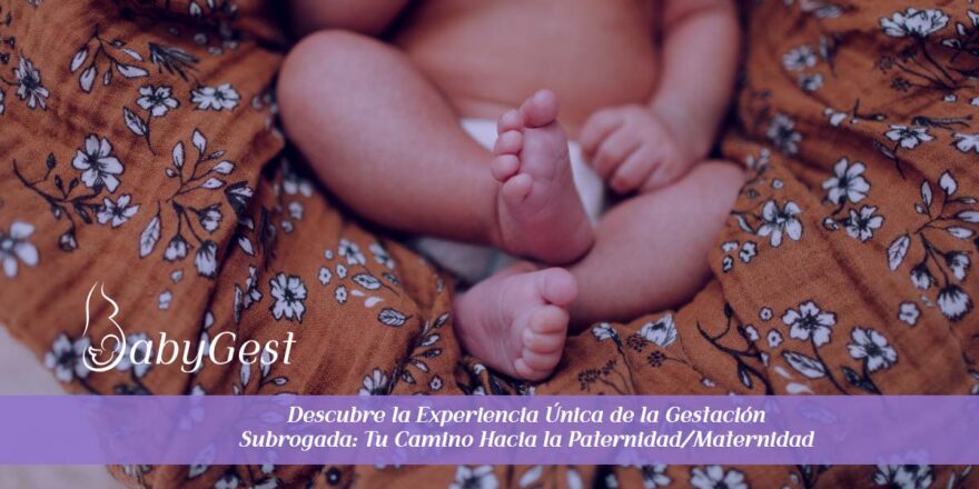 Descubre la Experiencia Única de la Gestación Subrogada Tu Camino Hacia la PaternidadMaternidad